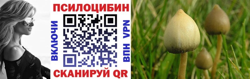 купить наркоту Льгов Псилоцибиновые грибы Magic Shrooms